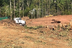 land-clearing-pic4